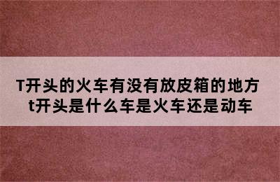 T开头的火车有没有放皮箱的地方 t开头是什么车是火车还是动车